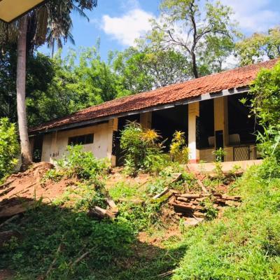 D60590d1 Cb8e 487f 8803 4fb29ab4172e Thumb