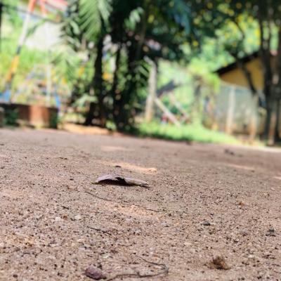 Whatsapp Image 2023 10 25 At 10.34.17 Pm 2